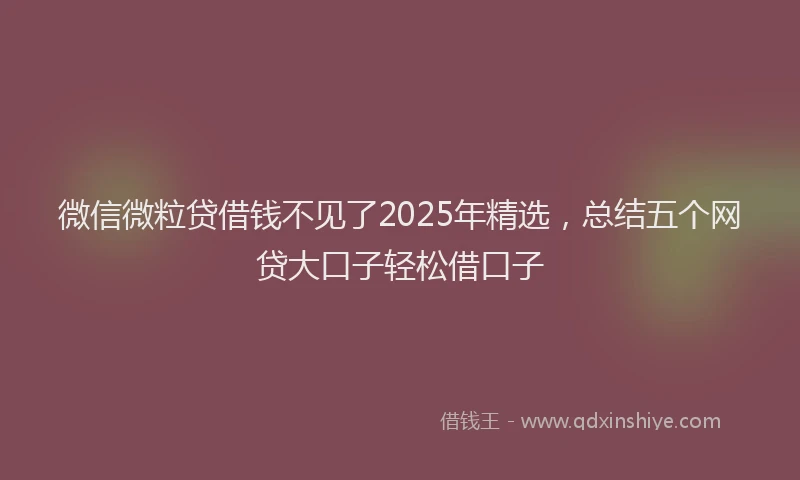 微信微粒贷借钱不见了2025年精选，总结五个网贷大口子轻松借口子