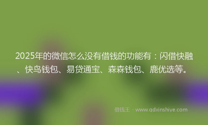 2025年的微信怎么没有借钱的功能有：闪借快融、快鸟钱包、易贷通宝、森森钱包、鹿优选等。