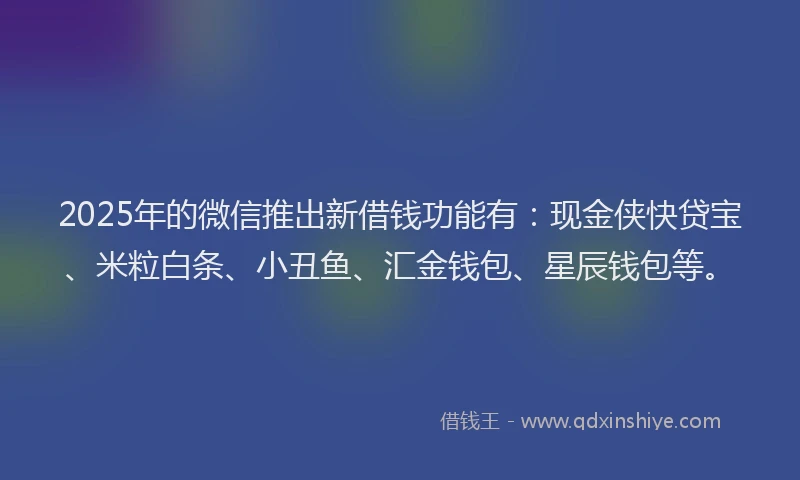 2025年的微信推出新借钱功能有：现金侠快贷宝、米粒白条、小丑鱼、汇金钱包、星辰钱包等。