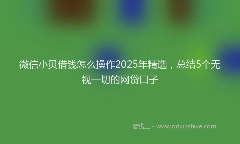 微信小贝借钱怎么操作2025年精选，总结5个无视一切的网贷口子