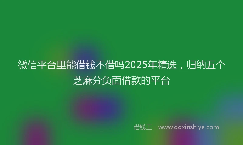 微信平台里能借钱不借吗2025年精选，归纳五个芝麻分负面借款的平台