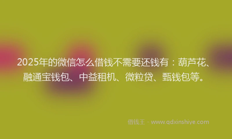 2025年的微信怎么借钱不需要还钱有：葫芦花、融通宝钱包、中益租机、微粒贷、甄钱包等。