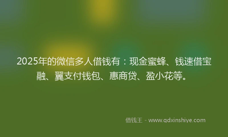 2025年的微信多人借钱有：现金蜜蜂、钱速借宝融、翼支付钱包、惠商贷、盈小花等。
