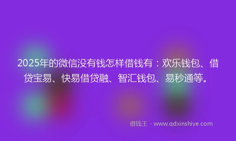 2025年的微信没有钱怎样借钱有：欢乐钱包、借贷宝易、快易借贷融、智汇钱包、易秒通等。
