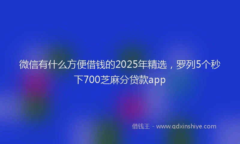 微信有什么方便借钱的2025年精选，罗列5个秒下700芝麻分贷款app