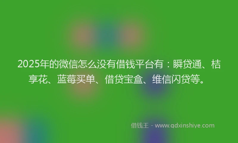 2025年的微信怎么没有借钱平台有：瞬贷通、桔享花、蓝莓买单、借贷宝盒、维信闪贷等。