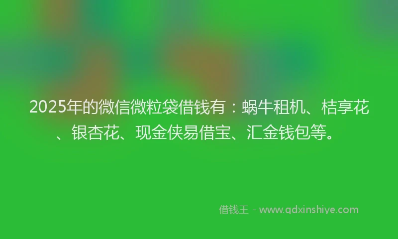 2025年的微信微粒袋借钱有：蜗牛租机、桔享花、银杏花、现金侠易借宝、汇金钱包等。