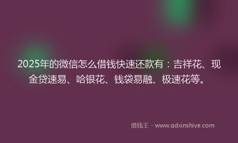2025年的微信怎么借钱快速还款有：吉祥花、现金贷速易、哈银花、钱袋易融、极速花等。