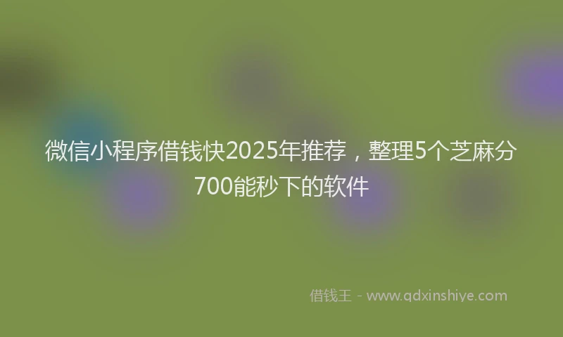 微信小程序借钱快2025年推荐，整理5个芝麻分700能秒下的软件