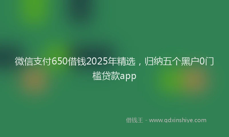 微信支付650借钱2025年精选，归纳五个黑户0门槛贷款app