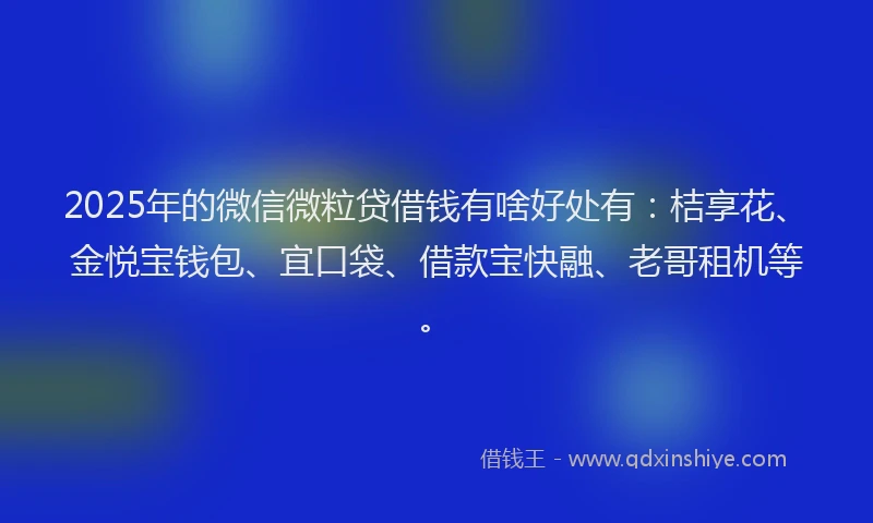 2025年的微信微粒贷借钱有啥好处有：桔享花、金悦宝钱包、宜口袋、借款宝快融、老哥租机等。