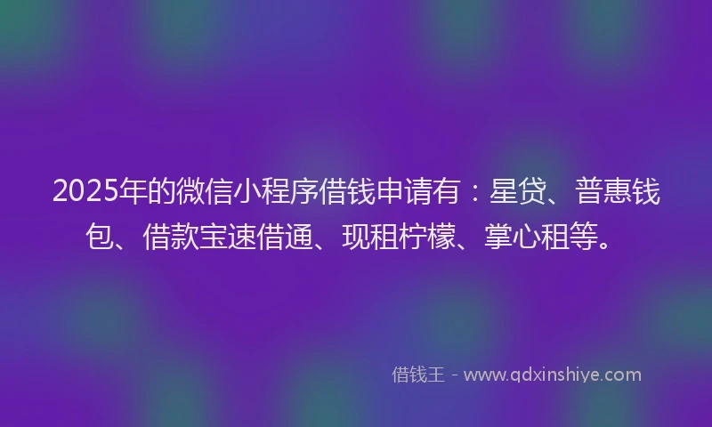2025年的微信小程序借钱申请有：星贷、普惠钱包、借款宝速借通、现租柠檬、掌心租等。