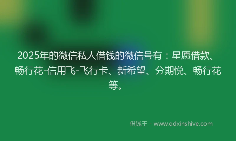 2025年的微信私人借钱的微信号有：星愿借款、畅行花-信用飞-飞行卡、新希望、分期悦、畅行花等。