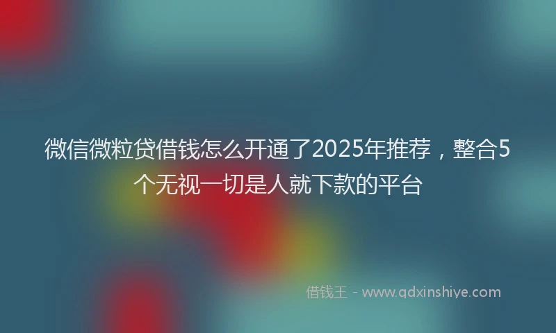 微信微粒贷借钱怎么开通了2025年推荐，整合5个无视一切是人就下款的平台