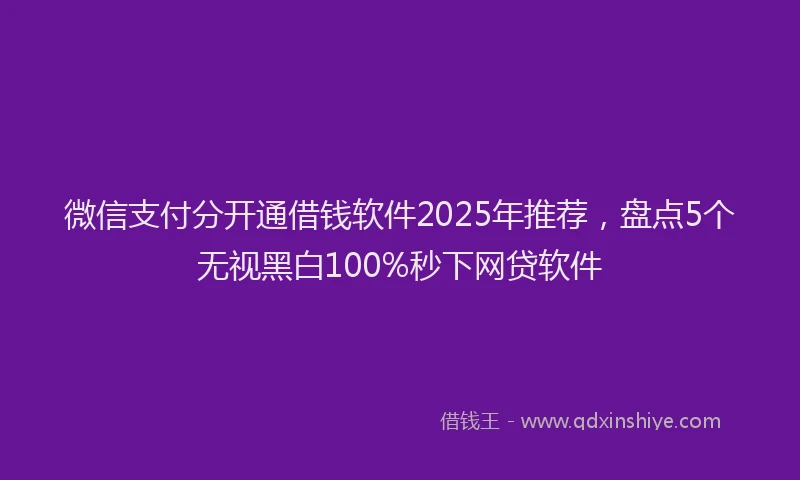 微信支付分开通借钱软件2025年推荐，盘点5个无视黑白100%秒下网贷软件