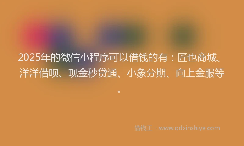 2025年的微信小程序可以借钱的有：匠也商城、洋洋借呗、现金秒贷通、小象分期、向上金服等。