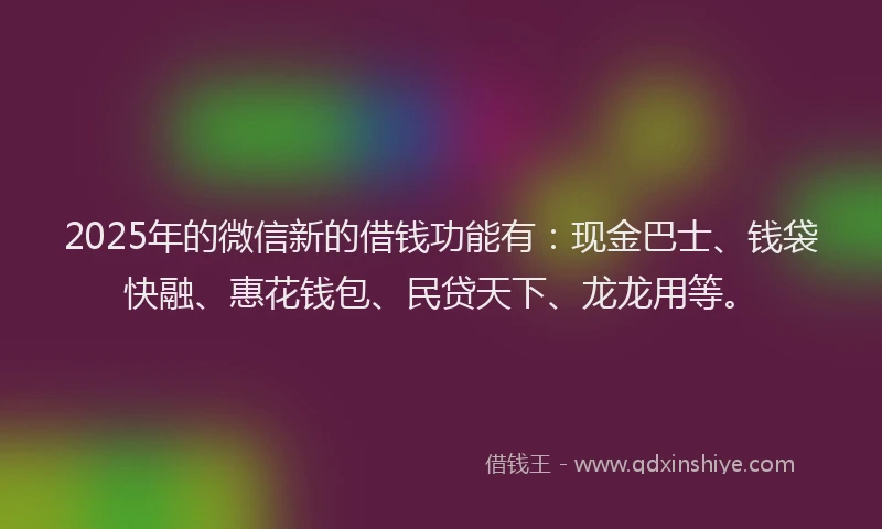 2025年的微信新的借钱功能有：现金巴士、钱袋快融、惠花钱包、民贷天下、龙龙用等。