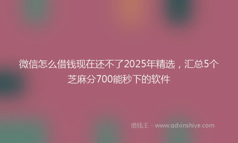 微信怎么借钱现在还不了2025年精选，汇总5个芝麻分700能秒下的软件
