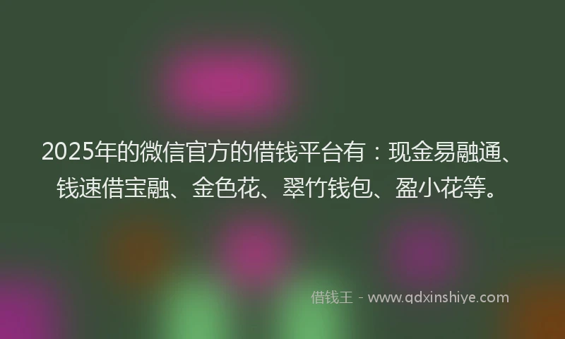 2025年的微信官方的借钱平台有：现金易融通、钱速借宝融、金色花、翠竹钱包、盈小花等。