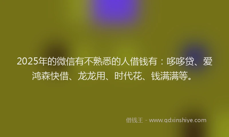2025年的微信有不熟悉的人借钱有：哆哆贷、爱鸿森快借、龙龙用、时代花、钱满满等。