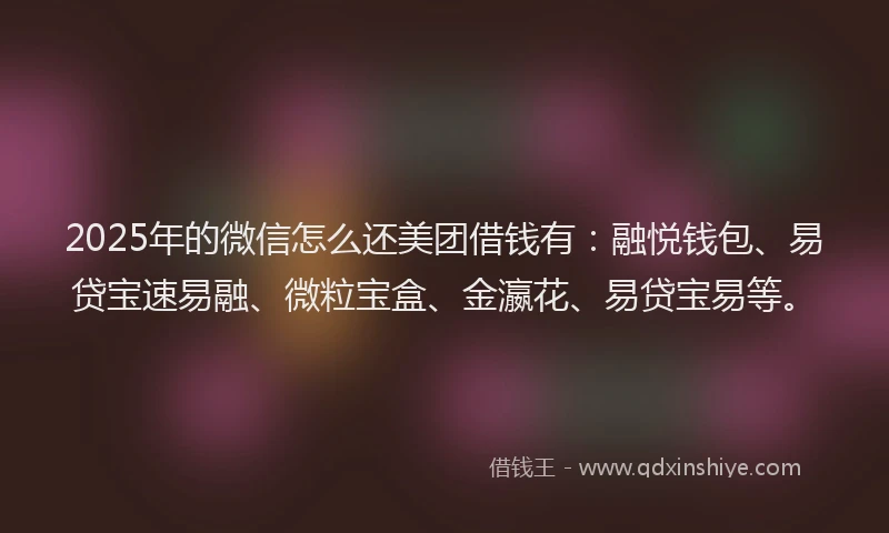 2025年的微信怎么还美团借钱有：融悦钱包、易贷宝速易融、微粒宝盒、金瀛花、易贷宝易等。