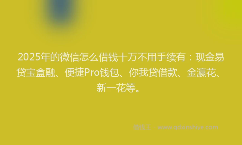 2025年的微信怎么借钱十万不用手续有：现金易贷宝盒融、便捷Pro钱包、你我贷借款、金瀛花、新一花等。