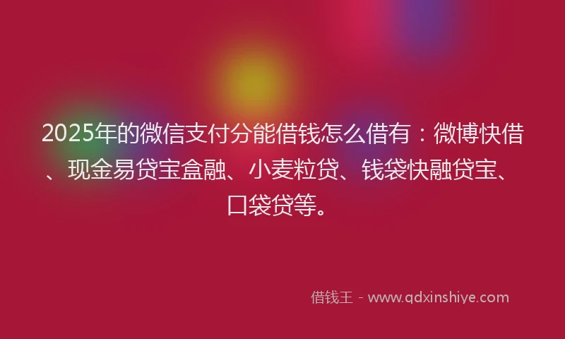 2025年的微信支付分能借钱怎么借有：微博快借、现金易贷宝盒融、小麦粒贷、钱袋快融贷宝、口袋贷等。