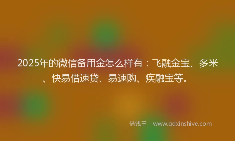 2025年的微信备用金怎么样有：飞融金宝、多米、快易借速贷、易速购、疾融宝等。