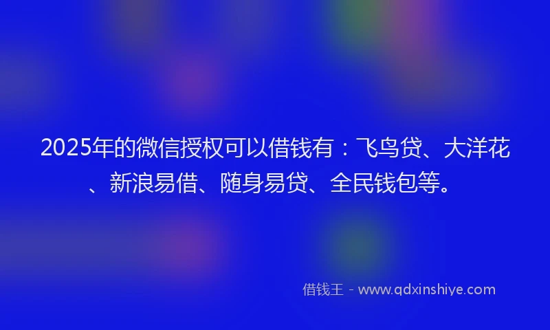 2025年的微信授权可以借钱有：飞鸟贷、大洋花、新浪易借、随身易贷、全民钱包等。