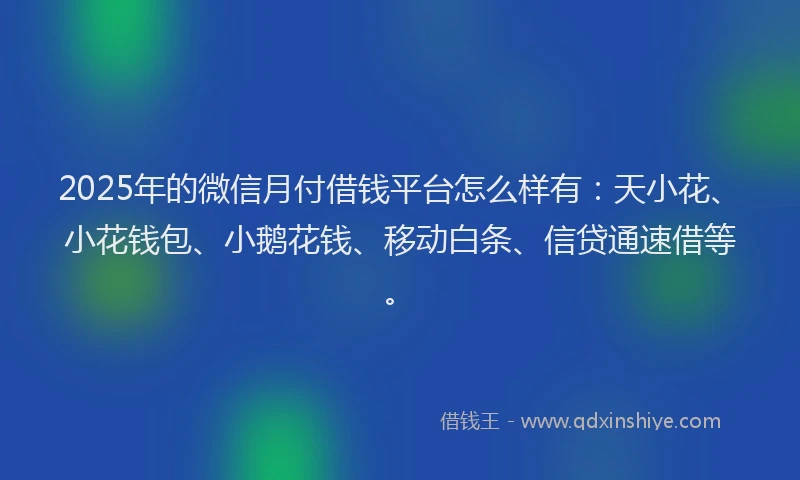 2025年的微信月付借钱平台怎么样有：天小花、小花钱包、小鹅花钱、移动白条、信贷通速借等。
