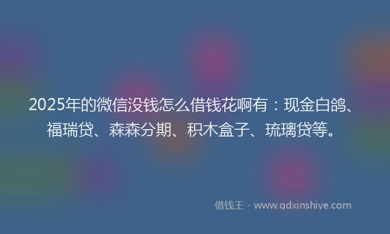 2025年的微信没钱怎么借钱花啊有：现金白鸽、福瑞贷、森森分期、积木盒子、琉璃贷等。