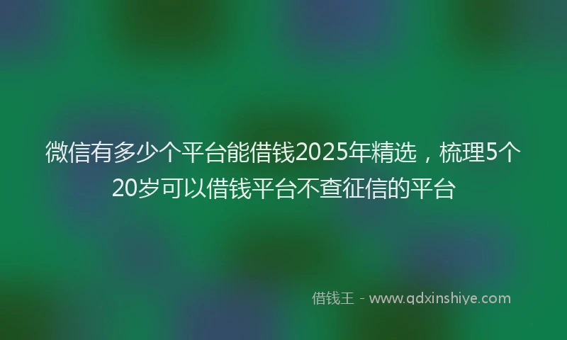 微信有多少个平台能借钱2025年精选，梳理5个20岁可以借钱平台不查征信的平台