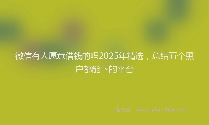 微信有人愿意借钱的吗2025年精选，总结五个黑户都能下的平台