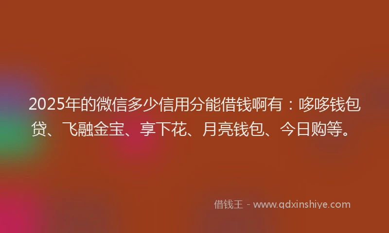 2025年的微信多少信用分能借钱啊有：哆哆钱包贷、飞融金宝、享下花、月亮钱包、今日购等。