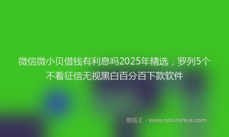 微信微小贝借钱有利息吗2025年精选，罗列5个不看征信无视黑白百分百下款软件