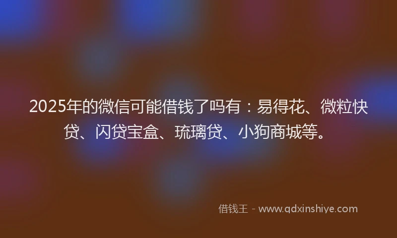 2025年的微信可能借钱了吗有：易得花、微粒快贷、闪贷宝盒、琉璃贷、小狗商城等。