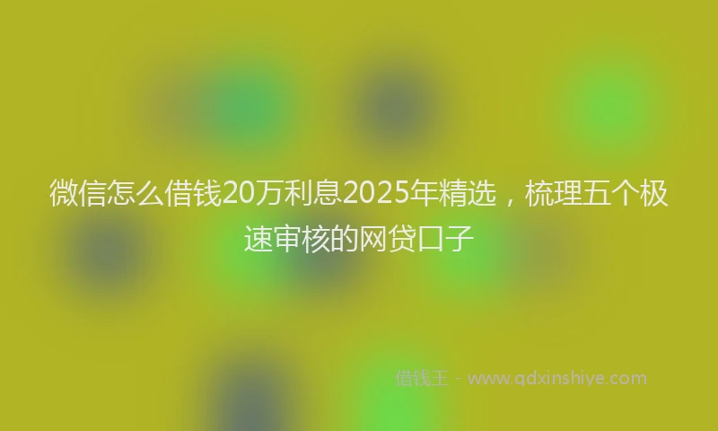 微信怎么借钱20万利息2025年精选，梳理五个极速审核的网贷口子