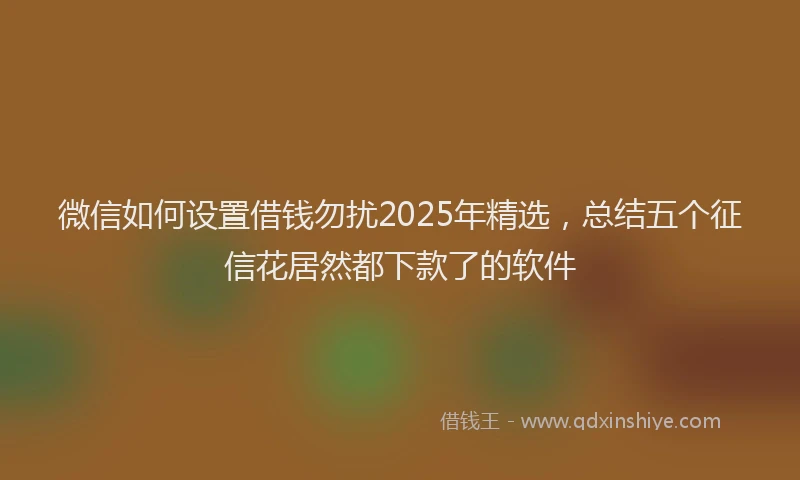 微信如何设置借钱勿扰2025年精选，总结五个征信花居然都下款了的软件