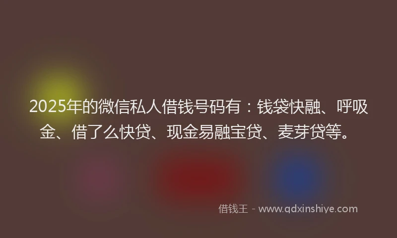 2025年的微信私人借钱号码有：钱袋快融、呼吸金、借了么快贷、现金易融宝贷、麦芽贷等。