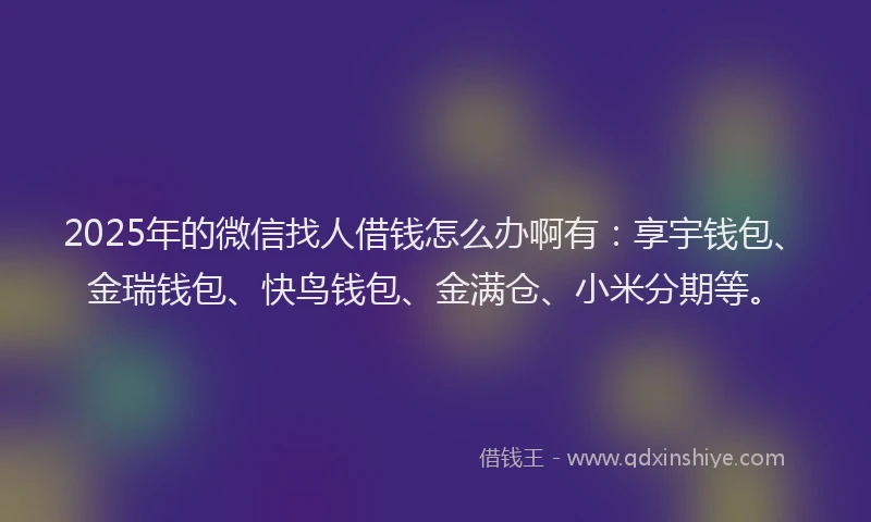 2025年的微信找人借钱怎么办啊有：享宇钱包、金瑞钱包、快鸟钱包、金满仓、小米分期等。