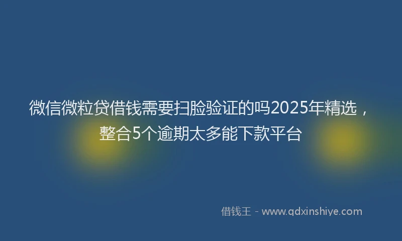微信微粒贷借钱需要扫脸验证的吗2025年精选，整合5个逾期太多能下款平台