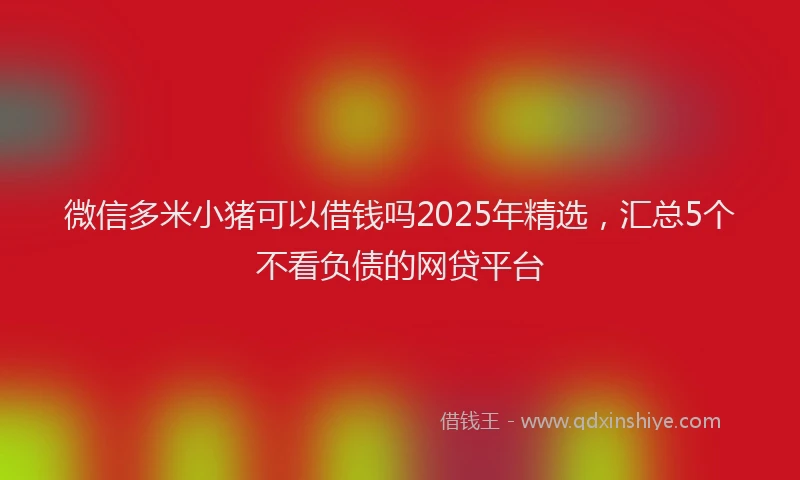 微信多米小猪可以借钱吗2025年精选，汇总5个不看负债的网贷平台