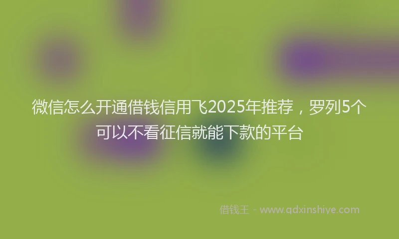 微信怎么开通借钱信用飞2025年推荐，罗列5个可以不看征信就能下款的平台