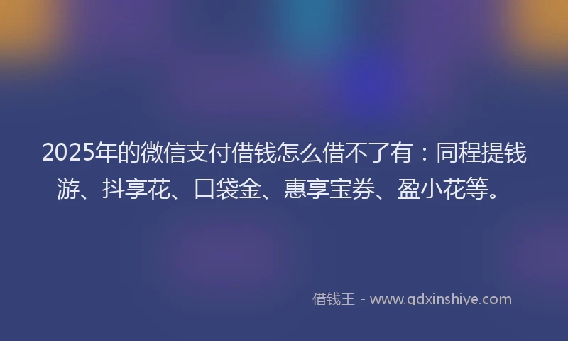 2025年的微信支付借钱怎么借不了有：同程提钱游、抖享花、口袋金、惠享宝券、盈小花等。