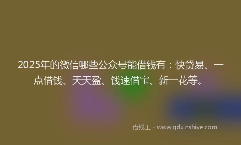 2025年的微信哪些公众号能借钱有：快贷易、一点借钱、天天盈、钱速借宝、新一花等。