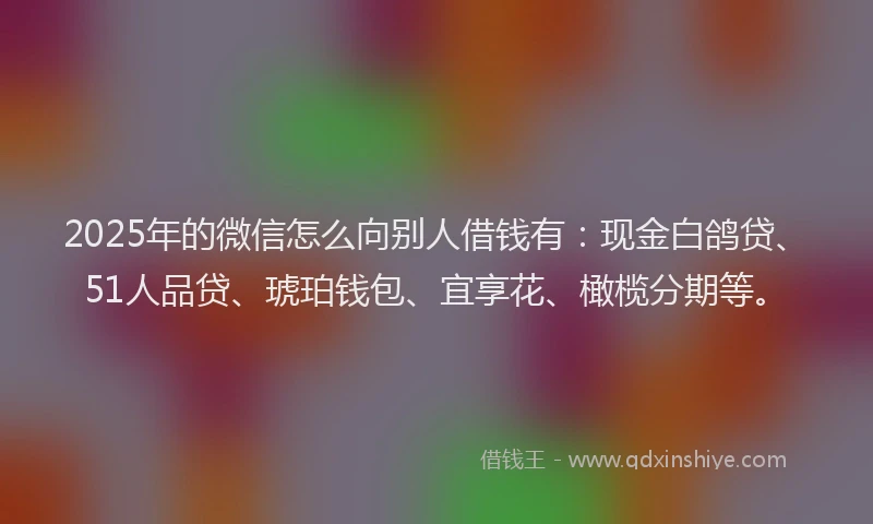 2025年的微信怎么向别人借钱有：现金白鸽贷、51人品贷、琥珀钱包、宜享花、橄榄分期等。