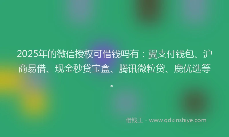 2025年的微信授权可借钱吗有：翼支付钱包、沪商易借、现金秒贷宝盒、腾讯微粒贷、鹿优选等。