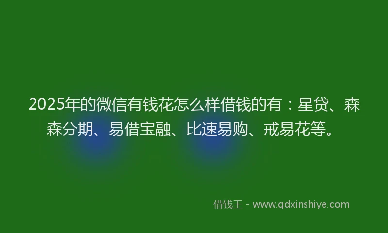 2025年的微信有钱花怎么样借钱的有：星贷、森森分期、易借宝融、比速易购、戒易花等。