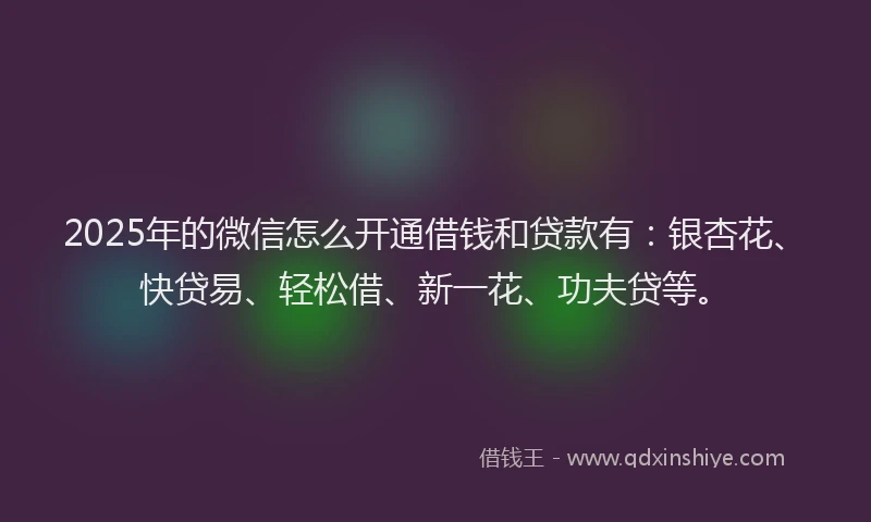 2025年的微信怎么开通借钱和贷款有：银杏花、快贷易、轻松借、新一花、功夫贷等。