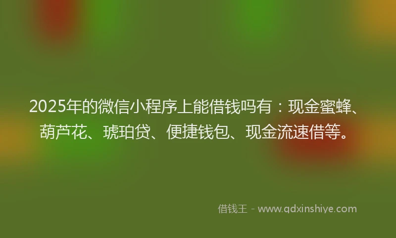 2025年的微信小程序上能借钱吗有：现金蜜蜂、葫芦花、琥珀贷、便捷钱包、现金流速借等。